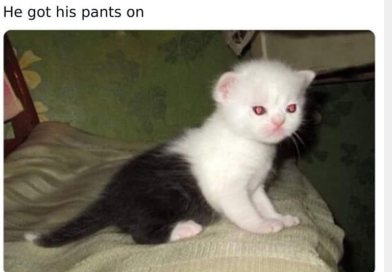He got his pants on