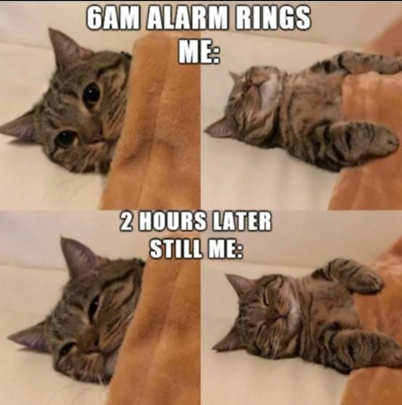 6AM ALARM RINGS ME: 2 HOURS LATER STILL ME: