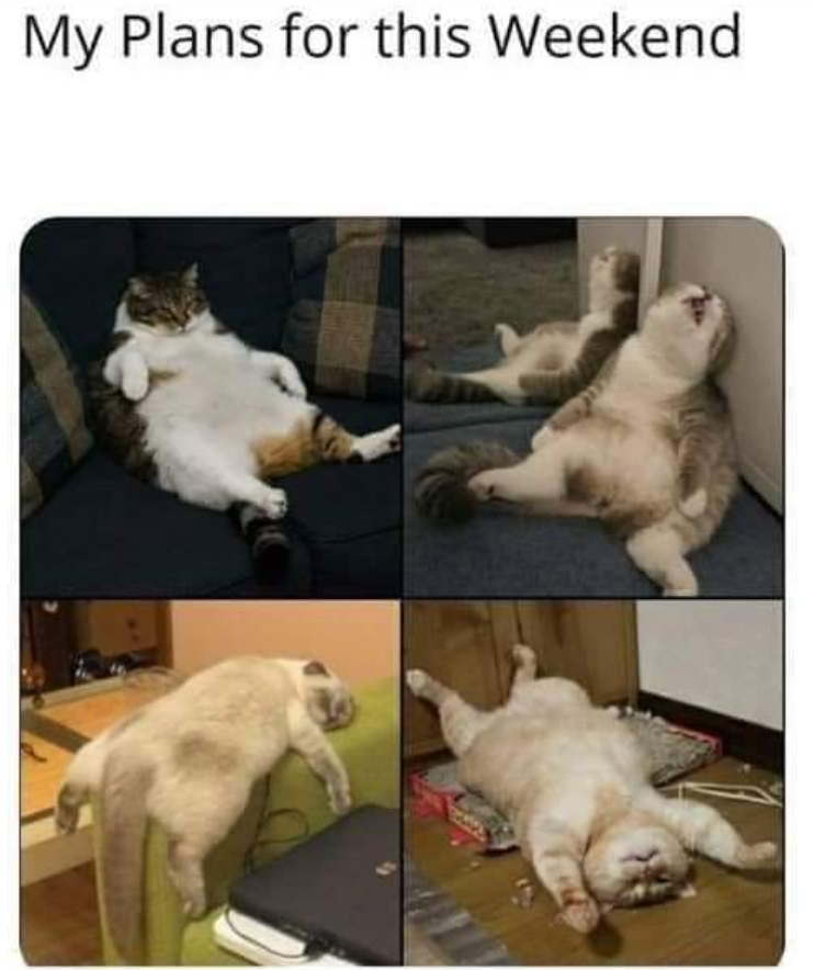 My Plans for this Weekend