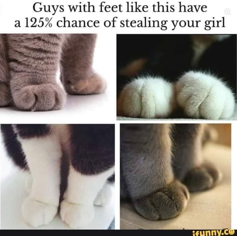 Guys with feet like this have a 125% chance of stealing your girl ifunny.co