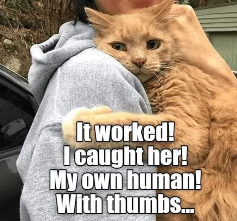 It worked! I caught her! My own human! With thumbs...