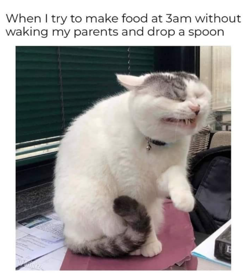 When I try to make food at 3am without waking my parents and drop a spoon
