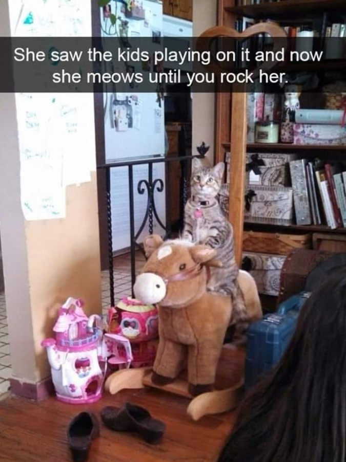 She saw the kids playing on it and now she meows until you rock her. 00 GOODO