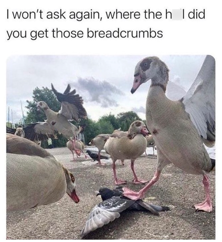 I won't ask again, where the h I did you get those breadcrumbs
