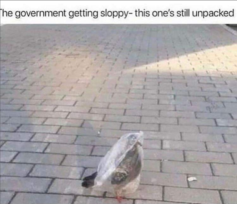 The government getting sloppy- this one's still unpacked