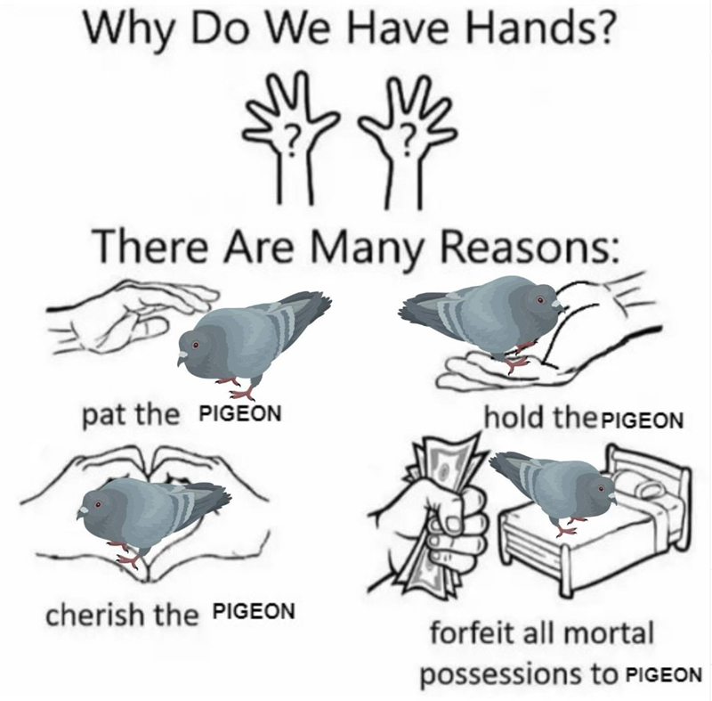 Why Do We Have Hands? There Are Many Reasons: pat the PIGEON hold the PIGEON cherish the PIGEON forfeit all mortal possessions to PIGEON