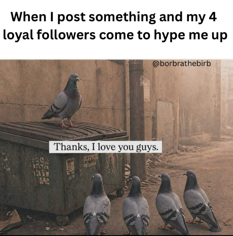 When I post something and my 4 loyal followers come to hype me up @borbrathebirb D Thanks, I love you guys.