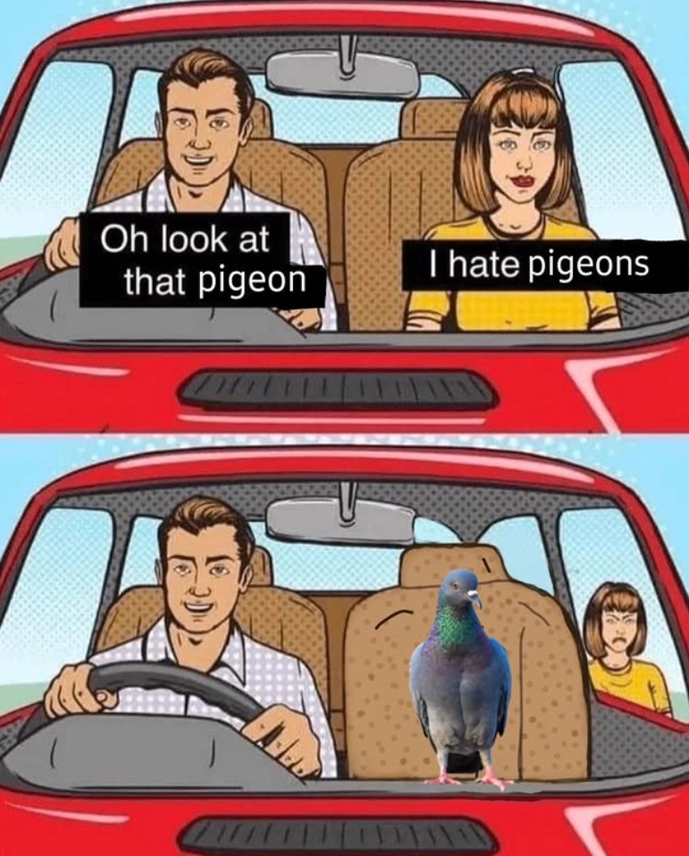Oh look at I hate pigeons that pigeon