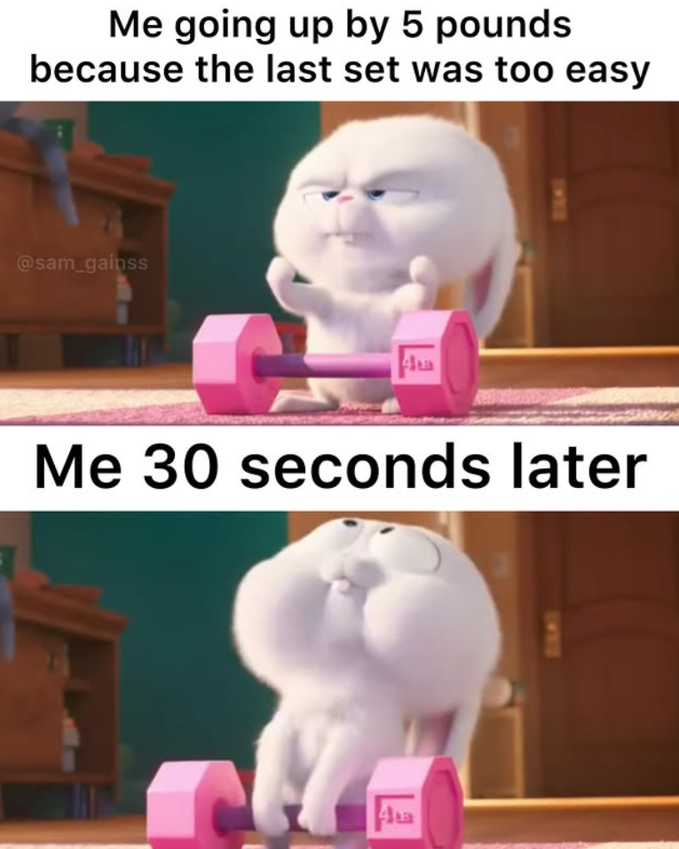 Me going up by 5 pounds because the last set was too easy @sam_gainss La Me 30 seconds later 4a