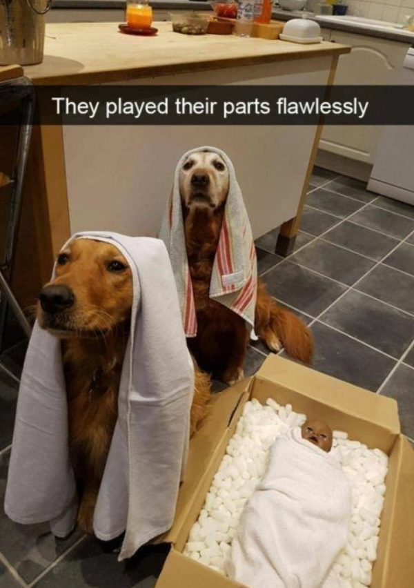 They played their parts flawlessly