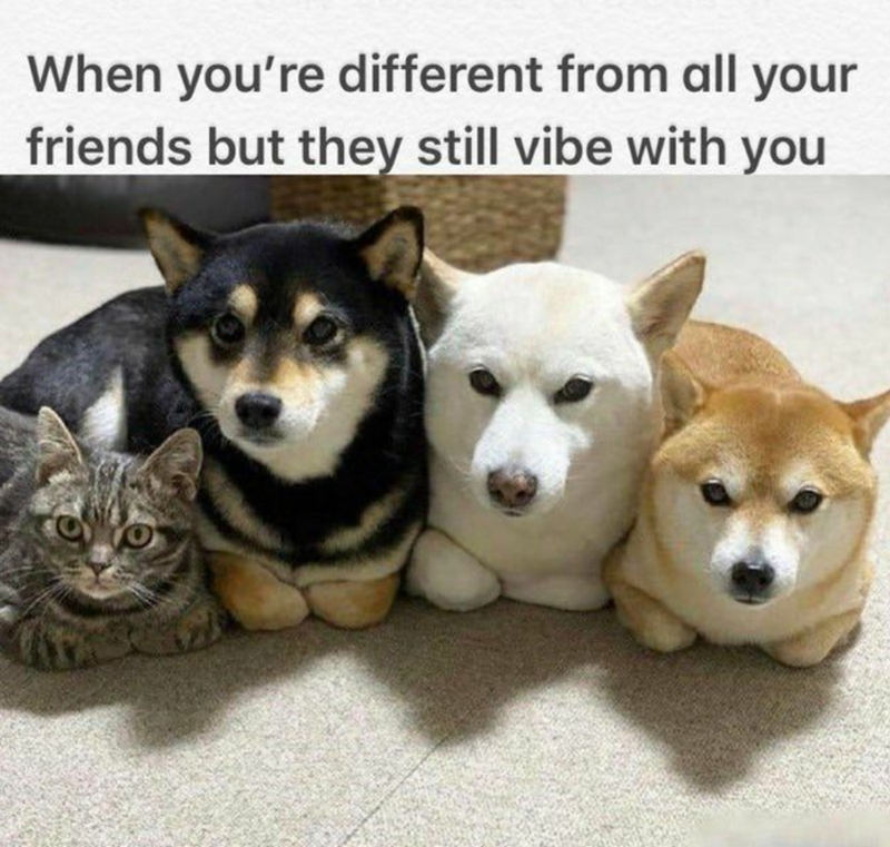 When you're different from all your friends but they still vibe with you