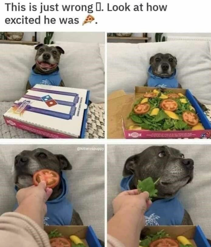 This is just wrong . Look at how excited he was @kitten vspuppy