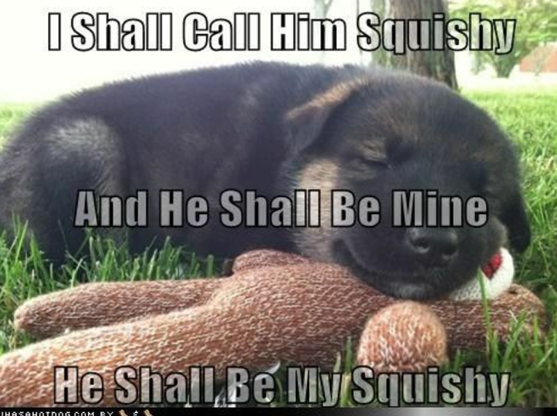 I Shall Call Him Squishy And He Shall Be Mine He Shall Be My Squishy IHASAHOIDOG.COM BY