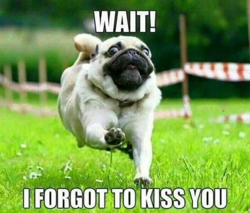 WAIT! I FORGOT TO KISS YOU