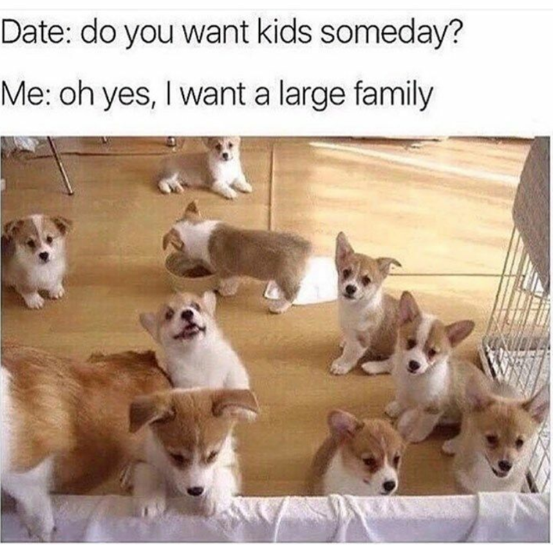 Date: do you want kids someday? Me: oh yes, I want a large family