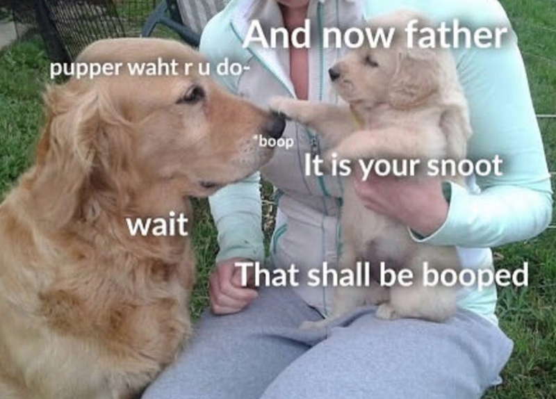 And now father pupper waht ru do- wait boop It is your snoot That shall be booped