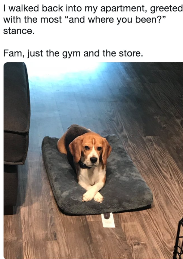 I walked back into my apartment, greeted with the most "and where you been?" stance. Fam, just the gym and the store.
