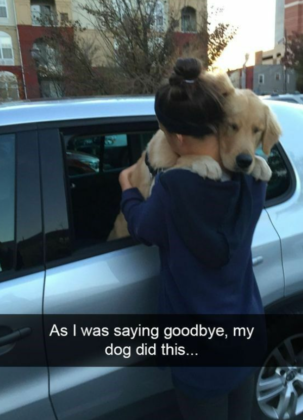 As I was saying goodbye, my dog did this...
