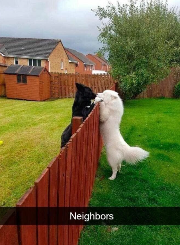 Neighbors