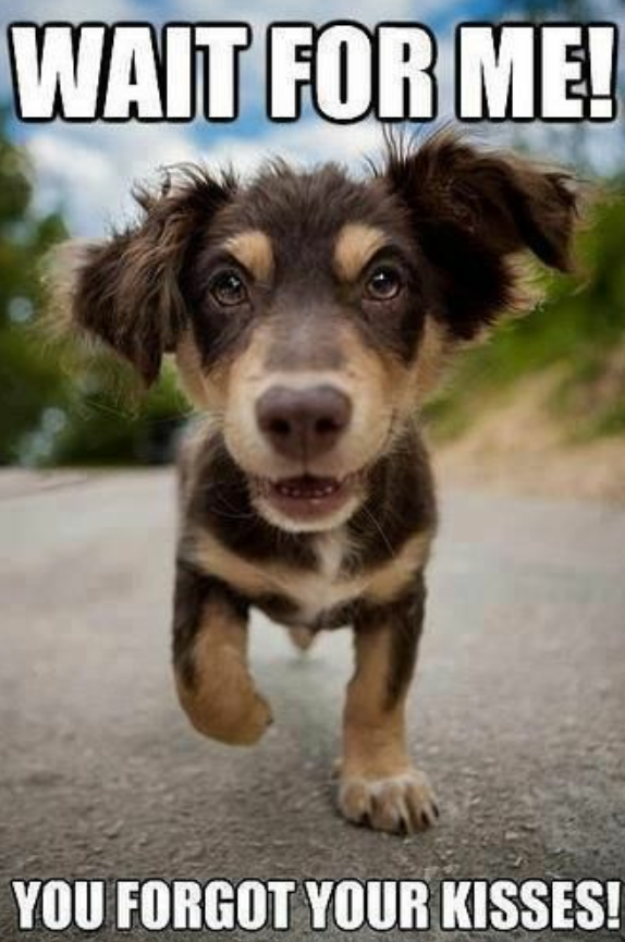 WAIT FOR ME! YOU FORGOT YOUR KISSES!