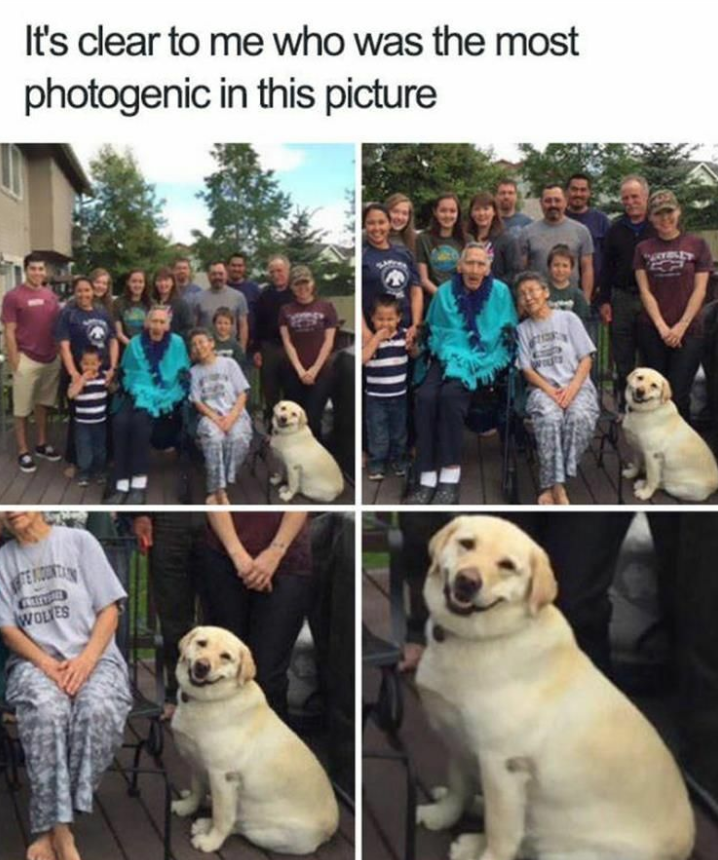 WOLES It's clear to me who was the most photogenic in this picture