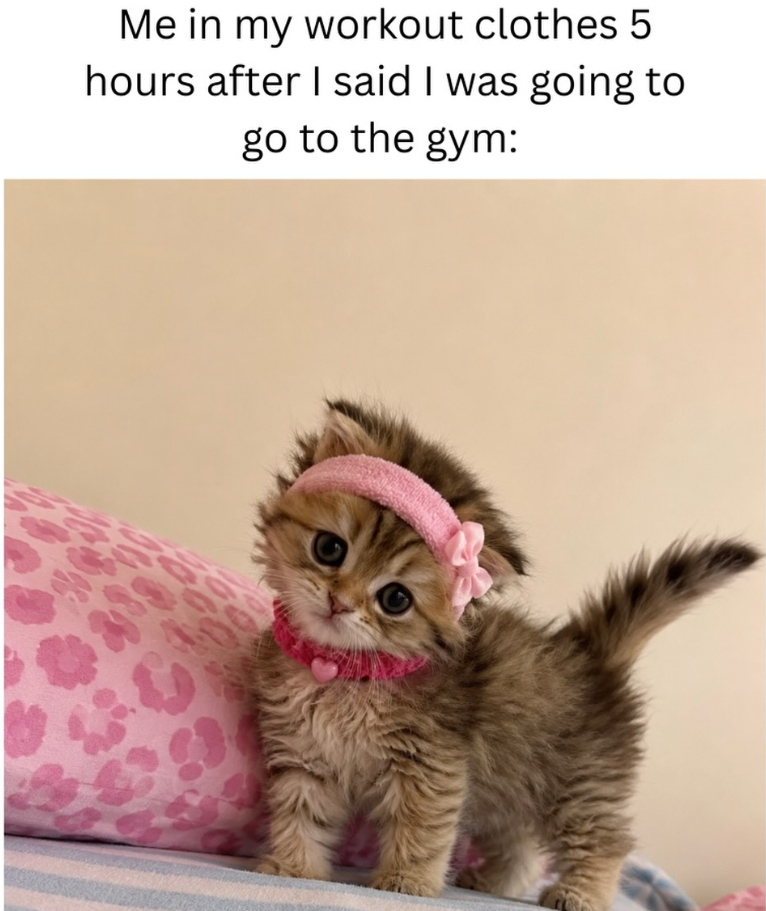 Me in my workout clothes 5 hours after I said I was going to go to the gym: