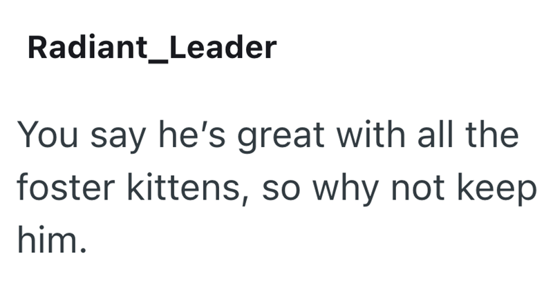Radiant Leader You say he's great with all the foster kittens, so why not keep him.