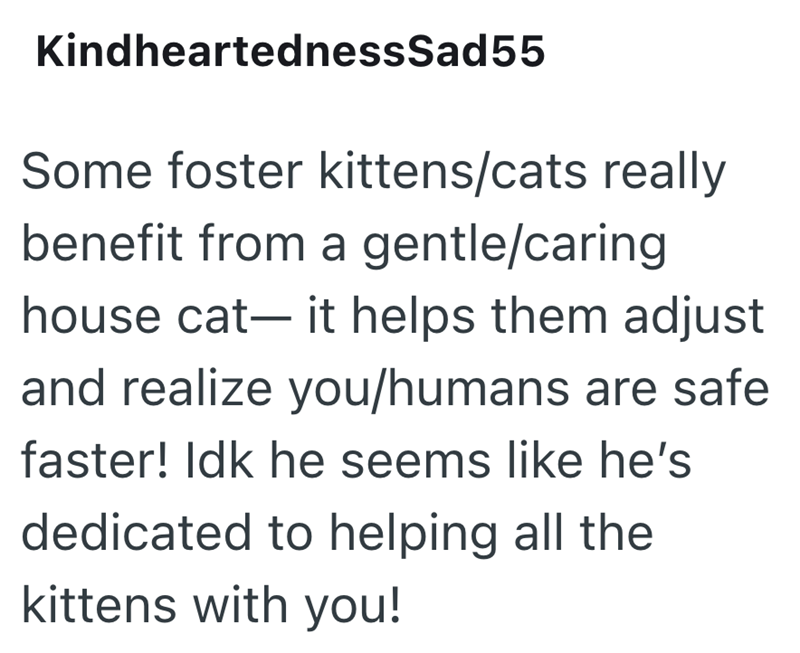 KindheartednessSad55 Some foster kittens/cats really benefit from a gentle/caring house cat- it helps them adjust and realize you/humans are safe faster! Idk he seems like he's dedicated to helping all the kittens with you!
