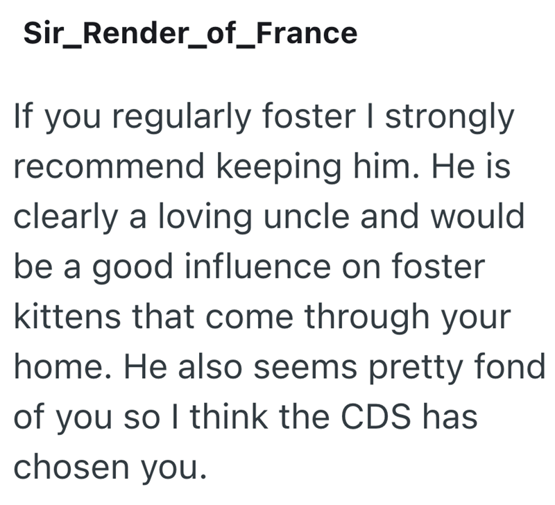Sir_Render_of_France If you regularly foster I strongly recommend keeping him. He is clearly a loving uncle and would be a good influence on foster kittens that come through your home. He also seems pretty fond of you so I think the CDS has chosen you.