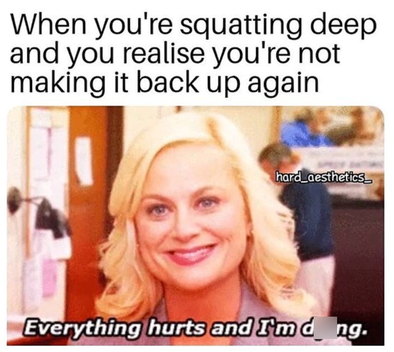 When you're squatting deep and you realise you're not making it back up again hard aesthetics Everything hurts and I'm d ng.