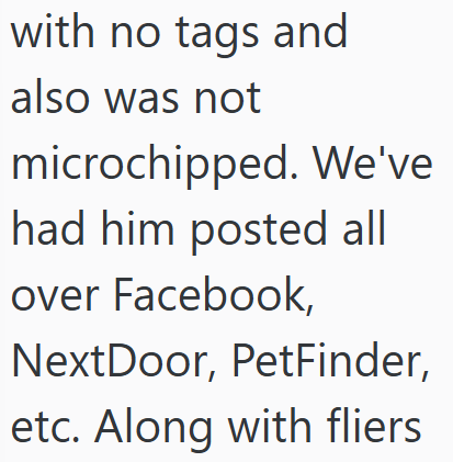 with no tags and also was not microchipped. We've had him posted all over Facebook, NextDoor, PetFinder, etc. Along with fliers