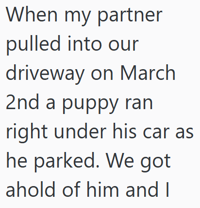 When my partner pulled into our driveway on March 2nd a puppy ran right under his car as he parked. We got ahold of him and I