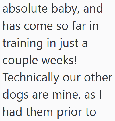 absolute baby, and has come so far in training in just a couple weeks! Technically our other dogs are mine, as I had them prior to