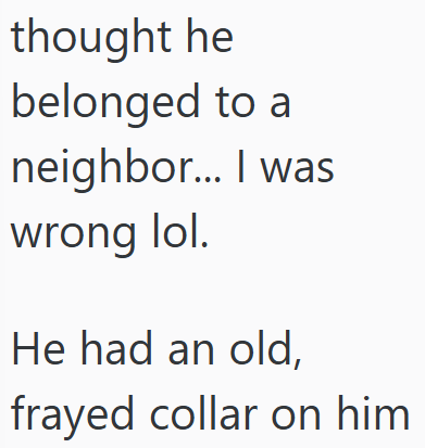 thought he belonged to a neighbor... I was wrong lol. He had an old, frayed collar on him