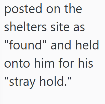 posted on the shelters site as "found" and held onto him for his "stray hold."