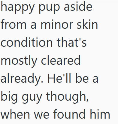 happy pup aside from a minor skin condition that's mostly cleared already. He'll be a big guy though, when we found him