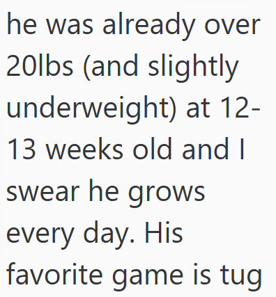 he was already over 20lbs (and slightly underweight) at 12- 13 weeks old and I swear he grows every day. His favorite game is tug