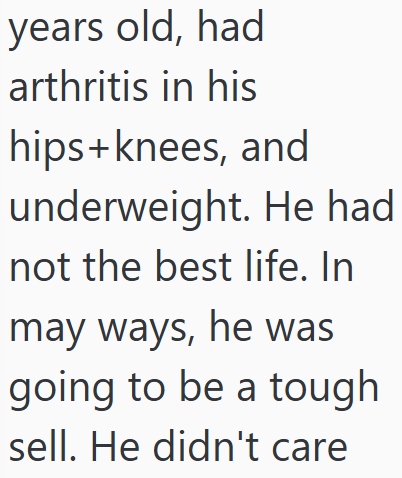 years old, had arthritis in his hips+knees, and underweight. He had not the best life. In may ways, he was going to be a tough sell. He didn't care