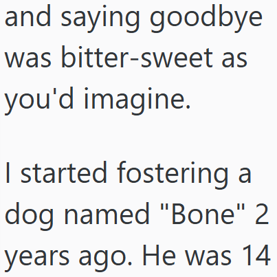 and saying goodbye was bitter-sweet as you'd imagine. I started fostering a dog named "Bone" 2 years ago. He was 14