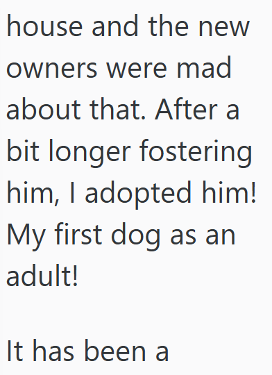 house and the new owners were mad about that. After a bit longer fostering him, I adopted him! My first dog as an adult! It has been a