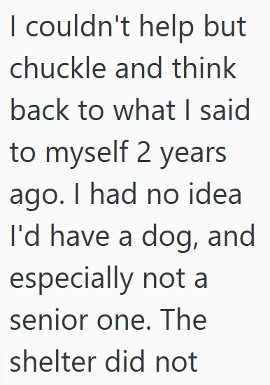 I couldn't help but chuckle and think back to what I said to myself 2 years ago. I had no idea I'd have a dog, and especially not a senior one. The shelter did not