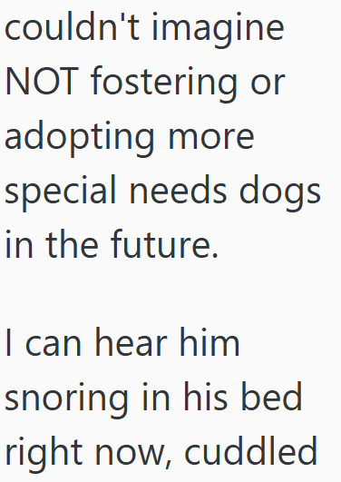 couldn't imagine NOT fostering or adopting more special needs dogs in the future. I can hear him snoring in his bed right now, cuddled