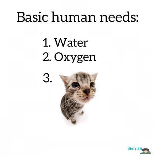 Basic human needs: 1. Water 2. Oxygen 3. @CY AN