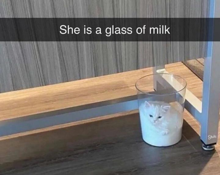 She is a glass of milk Stake