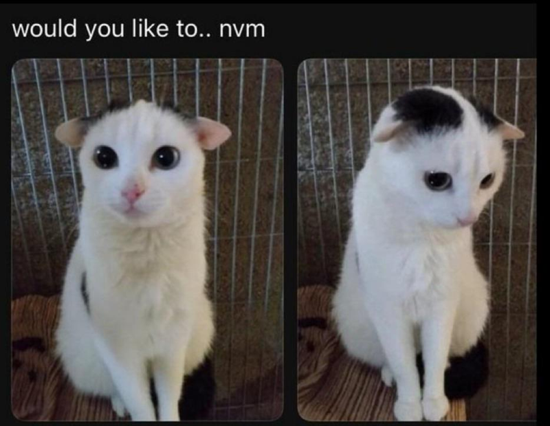 would you like to.. nvm