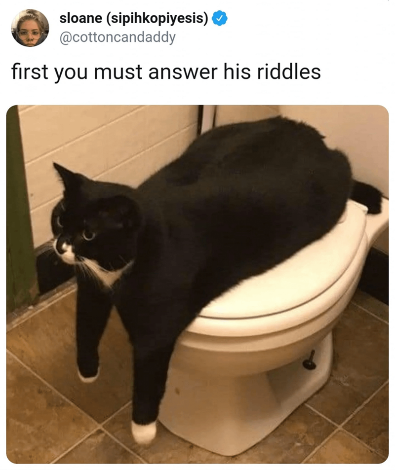 sloane (sipihkopiyesis) @cottoncandaddy first you must answer his riddles