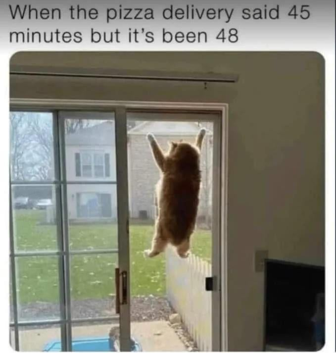 When the pizza delivery said 45 minutes but it's been 48