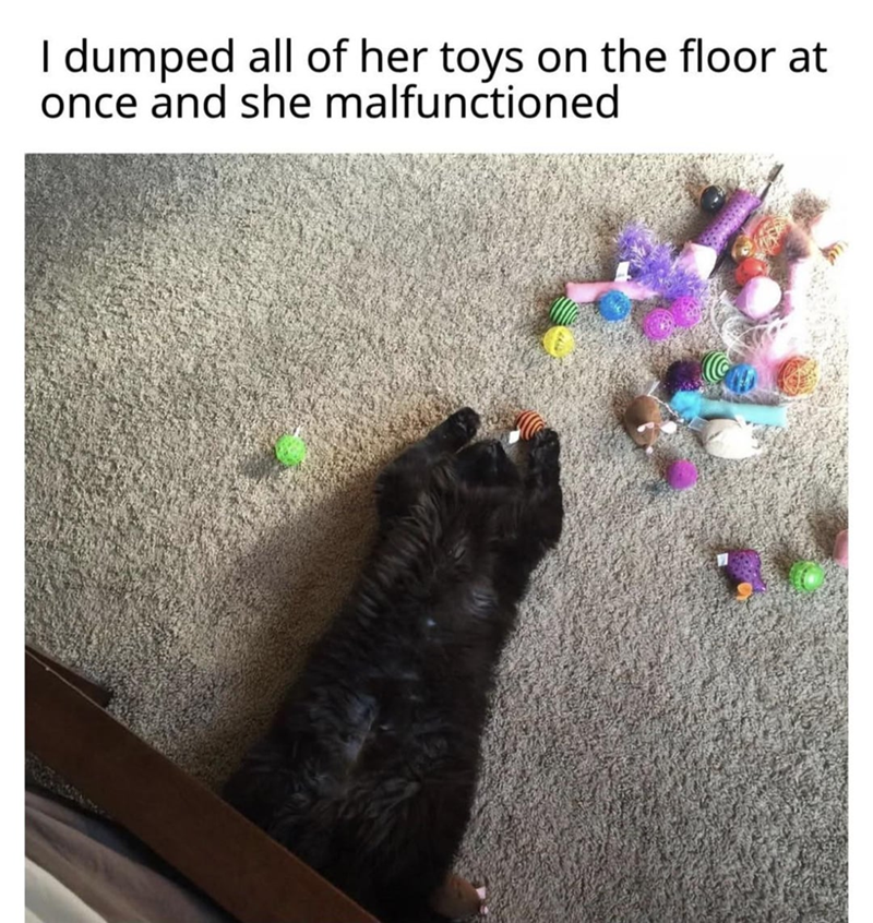 I dumped all of her toys on the floor at once and she malfunctioned