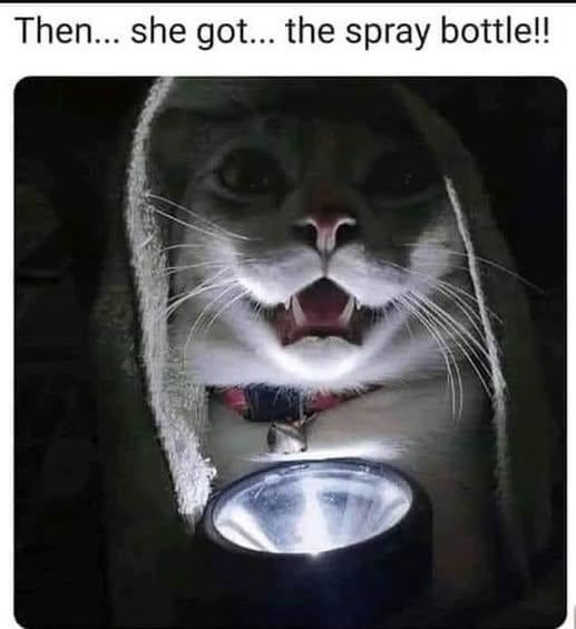 Then... she got... the spray bottle!!