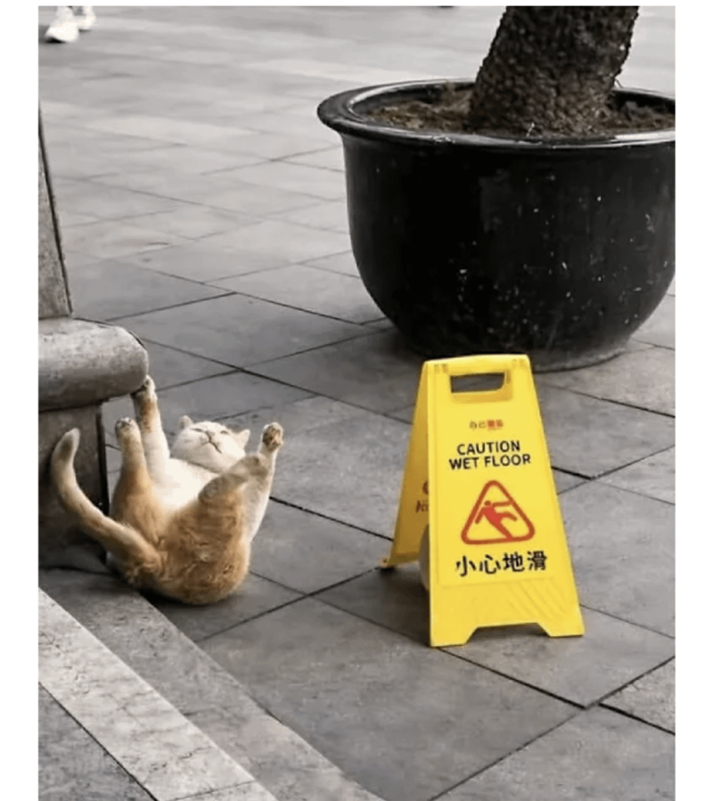 SCRE CAUTION WET FLOOR 小心地滑